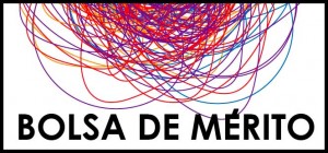 6607bolsa_de_merito